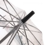 Зонт трость Fulton L848 3415 (National Gallery Skyline), прозрачный