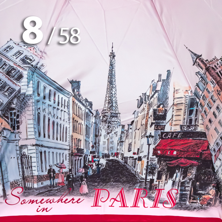 Зонт Три Слона L-3833 (C) 18118 Париж