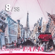 Зонт Три Слона L-3833 (C) 18118 Париж