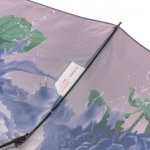 Зонт женский Monsoon M8045 (15416) Кокетливая нежность