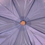 Зонт женский Три Слона 135 (Q/EL) 13557 Пурпурная ночь (сатин)