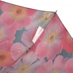 Зонт женский Monsoon M8019 15719 Розовое утро