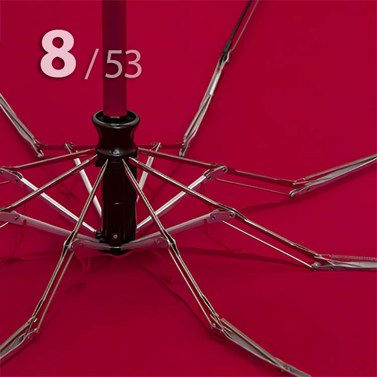 Зонт Три Слона L-4806 (E) 18196 Розы Красный, компактный