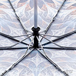 Зонт женский Три Слона 140 8403 Фейерверк георгин (сатин)
