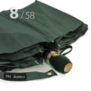 Зонт Три Слона L-3898 (C) 18372 Цветы Графика Зеленый