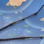 Зонт женский Monsoon M8045 (15418) Торжество