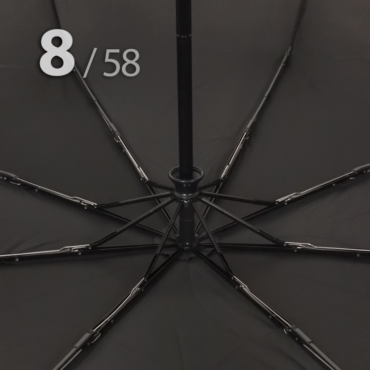 Зонт Три Слона L-3898 (A) 15003 Нотр-Дам де Пари черный