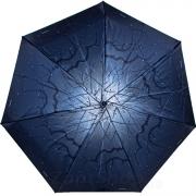 Зонт женский Amico 1174 16302 Ветви Синий (сатин)