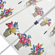 Зонт трость женский прозрачный Fulton Cath Kidston L546 3145 Цветочные горшки (Дизайнерский)