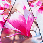 Зонт женский Zest 25525 7314 Цветок сакуры